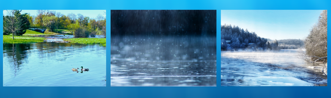 A pond, raindrops on a water surface, a river. 